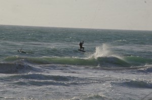 IMGP2665 (1)